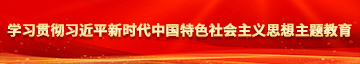 黄色日逼逼片学习贯彻习近平新时代中国特色社会主义思想主题教育